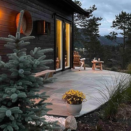 Cosy Cabin Between Lake And Mountain Treungen Exteriör bild