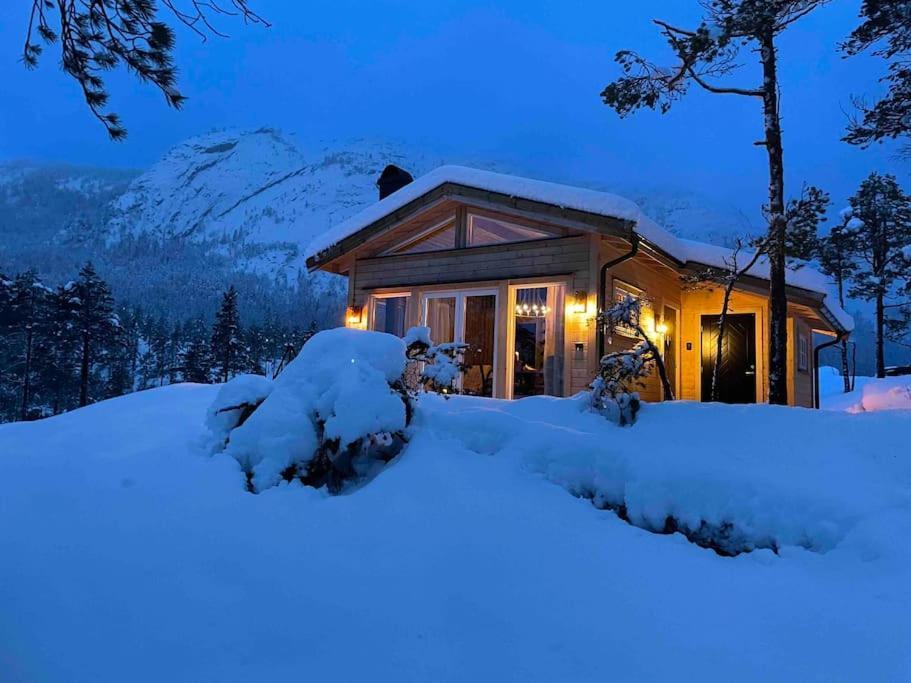 Cosy Cabin Between Lake And Mountain Treungen Exteriör bild