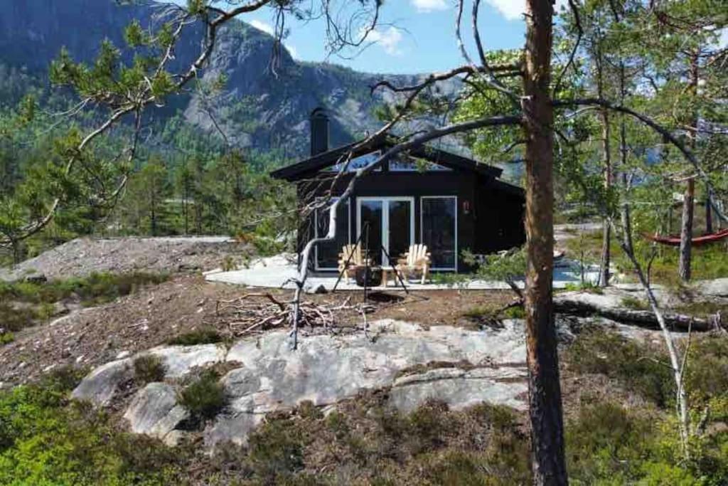 Cosy Cabin Between Lake And Mountain Treungen Exteriör bild