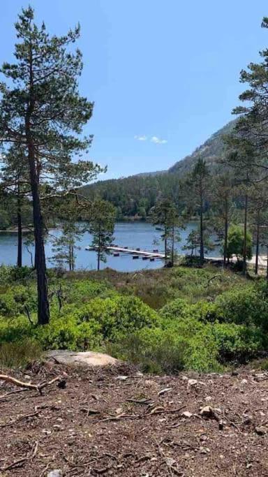 Cosy Cabin Between Lake And Mountain Treungen Exteriör bild