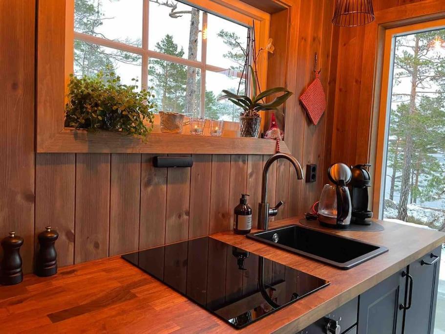 Cosy Cabin Between Lake And Mountain Treungen Exteriör bild